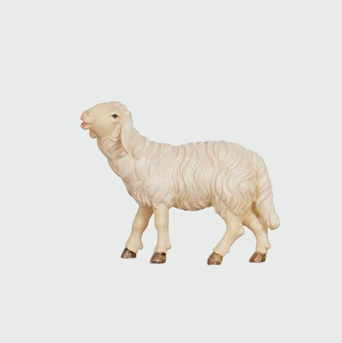 Rainell 254 Krippenfigur Schaf fressend Kopf hoch