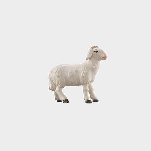 Advent 260 Krippenfigur aus Eschenholz Schaf stehend vorwärtsschauend