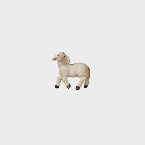 Advent 287 Krippenfigur aus Eschenholz Lamm stehend linksschauend