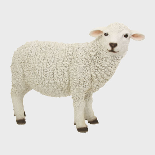 Krippenfigur Schaf stehend rechtsschauend 30cm groß