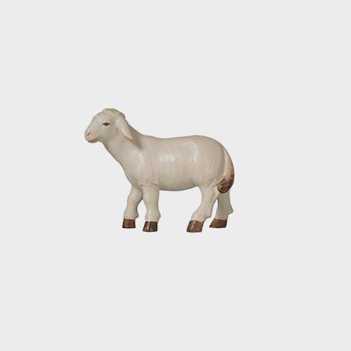 PEMA 261 Krippenfigur Schaf stehend linksschauend