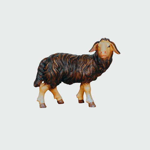 Kostner Krippenfigur Nummer 262s Krippenfigur Schaf schwarz stehend rechtsschauend, holzgeschnitzt und bemalt