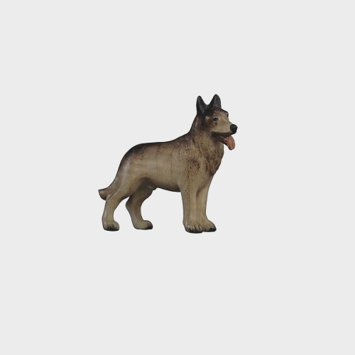 Advent 157 Krippenfigur aus Eschenholz Schäferhund