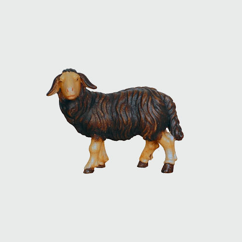 Kostner Krippenfigur Nummer 261s Krippenfigur Schaf schwarz stehend linksschauend, holzgeschnitzt und bemalt