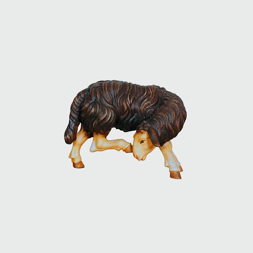 Kostner Krippenfigur Nummer 266s Krippenfigur Schaf schwarz kratzend, holzgeschnitzt und bemalt