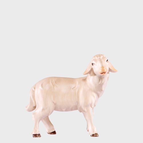 Artis 4551 Krippenfigur Schaf rechtsschauend