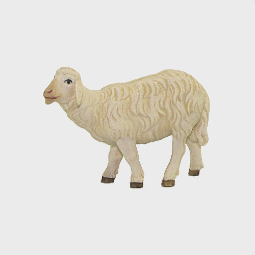 Nazareth Krippenfigur Schaf stehend linksschauend