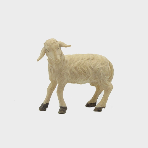 Krippenfigur Schaf linksschauend